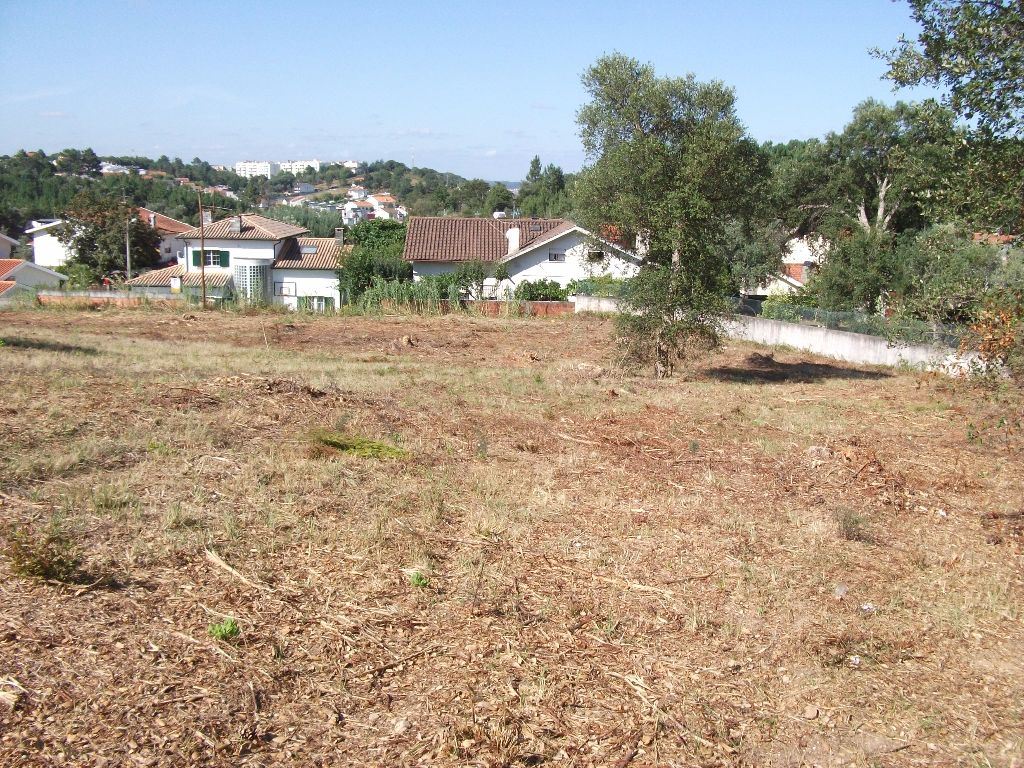 Terreno Agricola ou Rústico para Venda em Eiras e São Paulo de Frades