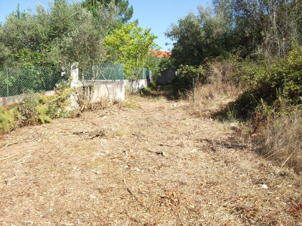 Terreno Agricola ou Rústico para Venda em Eiras e São Paulo de Frades