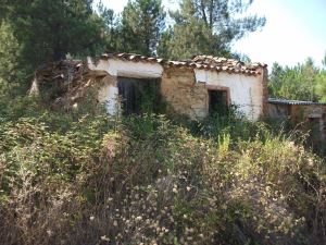 Terreno rústico, para Compra