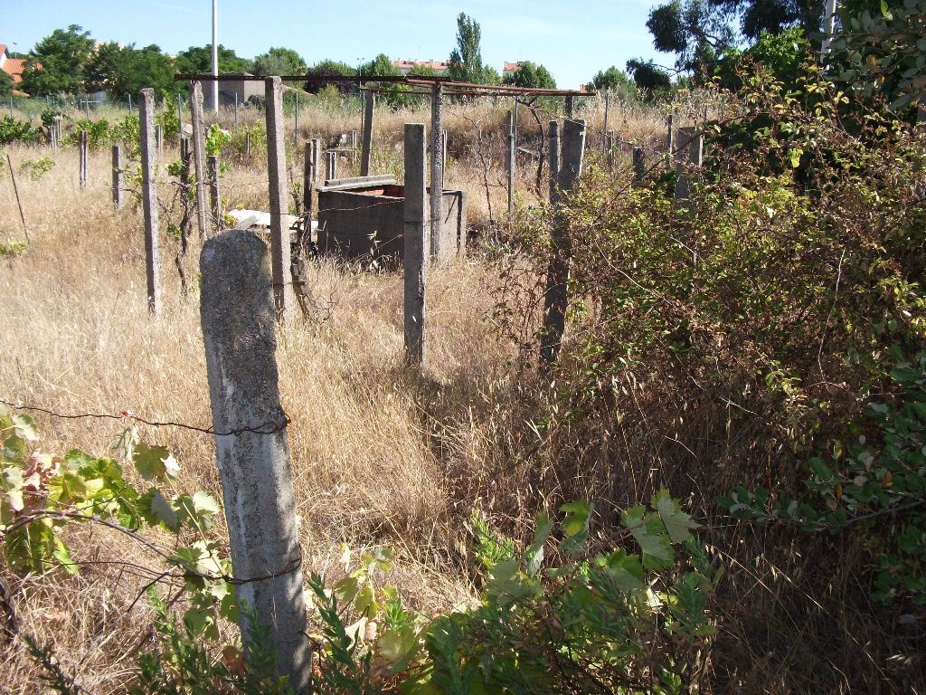Terreno para Venda em Alcains