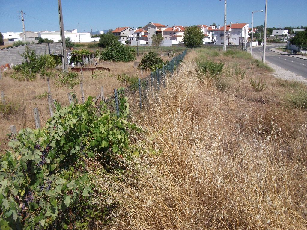 Terreno para Venda em Alcains