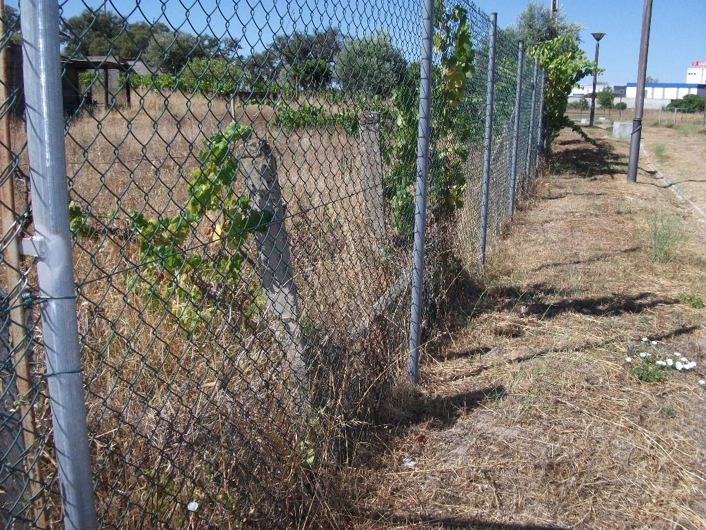 Terreno para Venda em Alcains