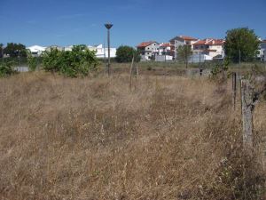 Loteamento para moradias, para Compra