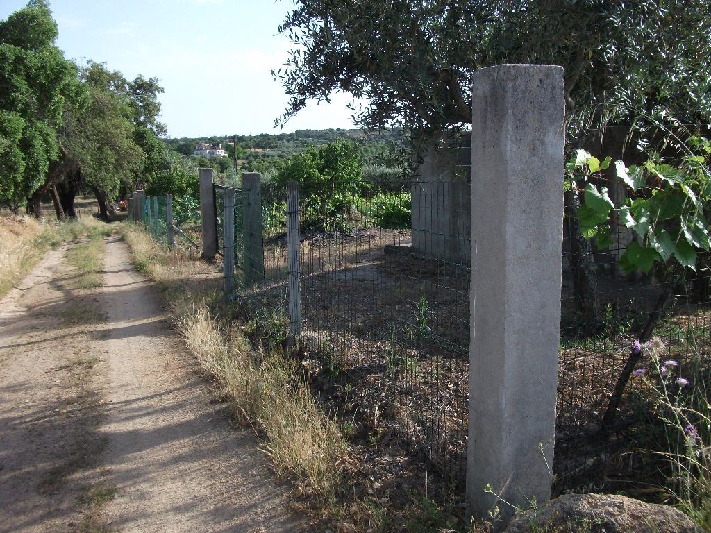 Terreno Agricola ou Rústico para Venda em Alcains