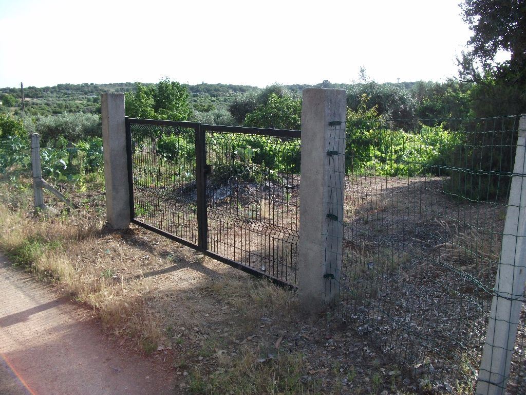 Terreno Agricola ou Rústico para Venda em Alcains