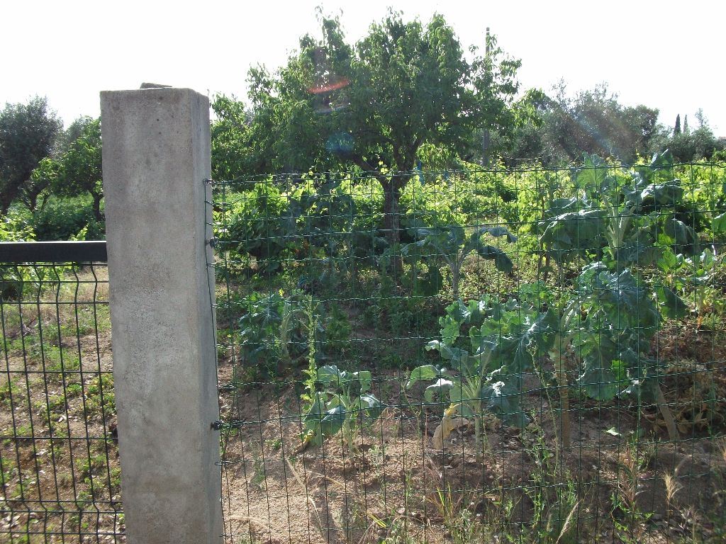 Terreno Agricola ou Rústico para Venda em Alcains