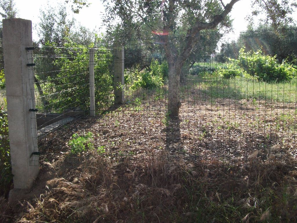 Terreno Agricola ou Rústico para Venda em Alcains