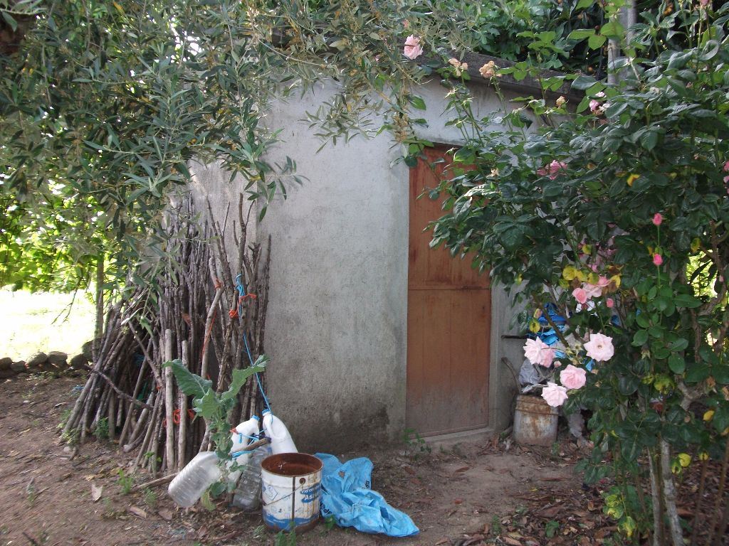 Terreno Agricola ou Rústico para Venda em Alcains