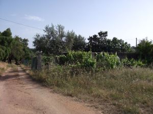 Terreno agrícola, para Compra