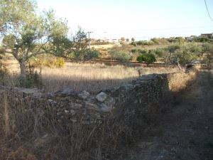 Terreno agrícola, para Compra