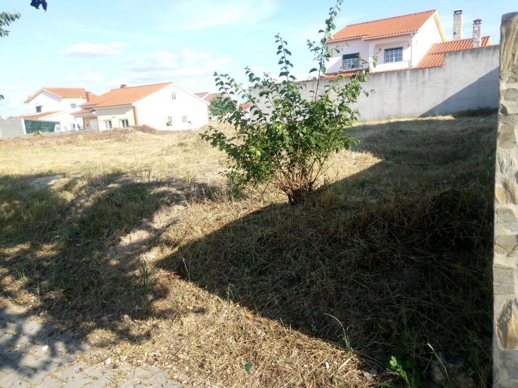 Terreno para Venda em Lardosa