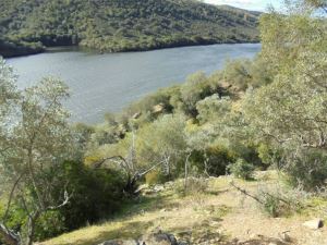 Rustic land  - Idanha-a-Nova, Rosmaninhal