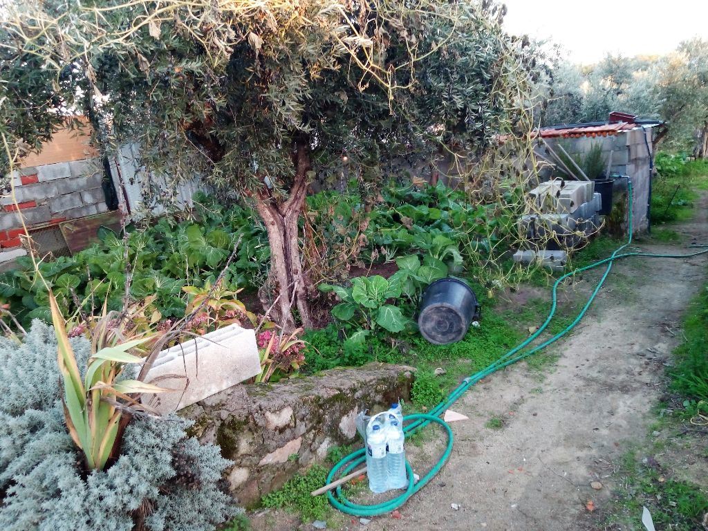 Quinta T1 para Venda em Póvoa de Rio de Moinhos e Cafede