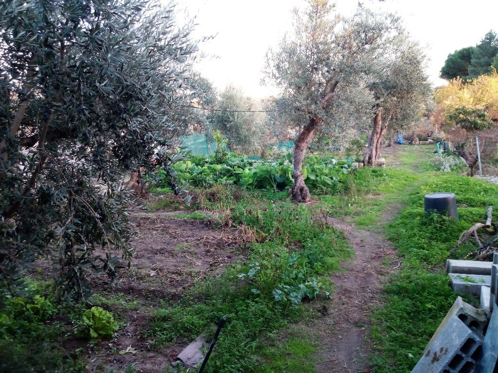 Quinta T1 para Venda em Póvoa de Rio de Moinhos e Cafede