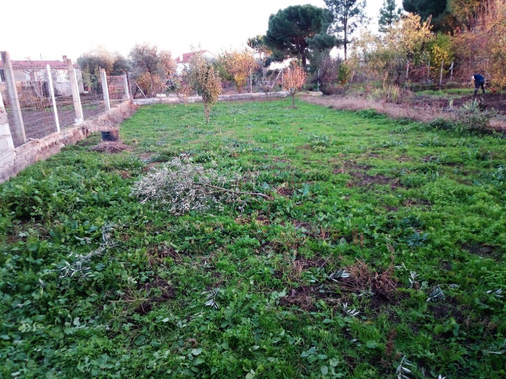 Quinta T1 para Venda em Póvoa de Rio de Moinhos e Cafede