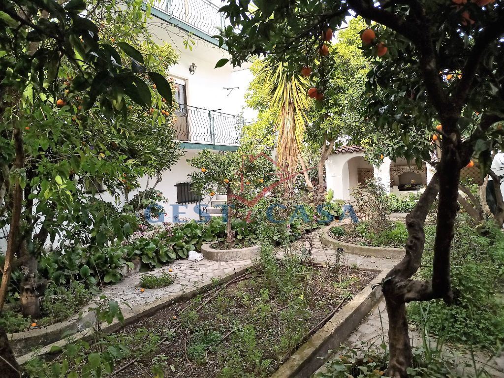 Moradia T5 para Venda em Castelo Branco