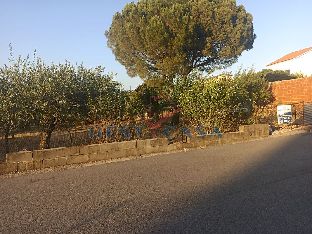 Terreno para Venda em Cebolais de Cima e Retaxo