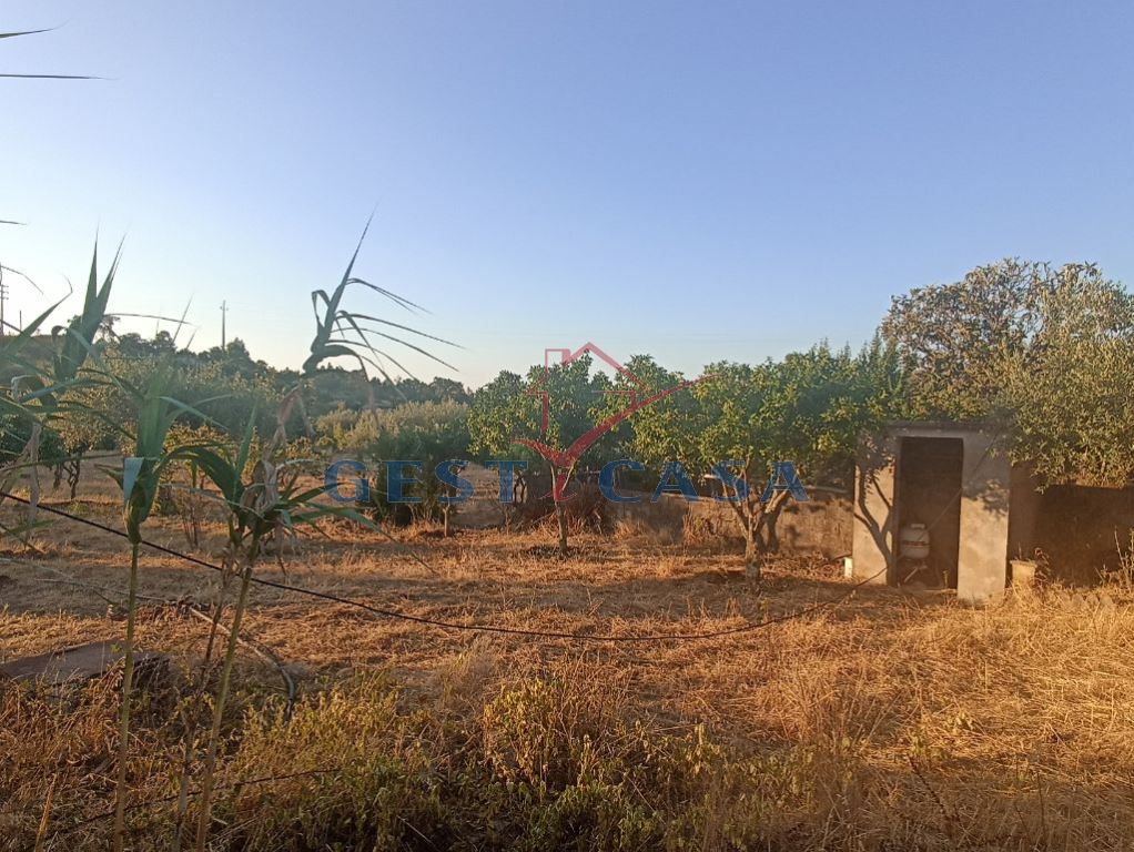 Terreno para Venda em Cebolais de Cima e Retaxo