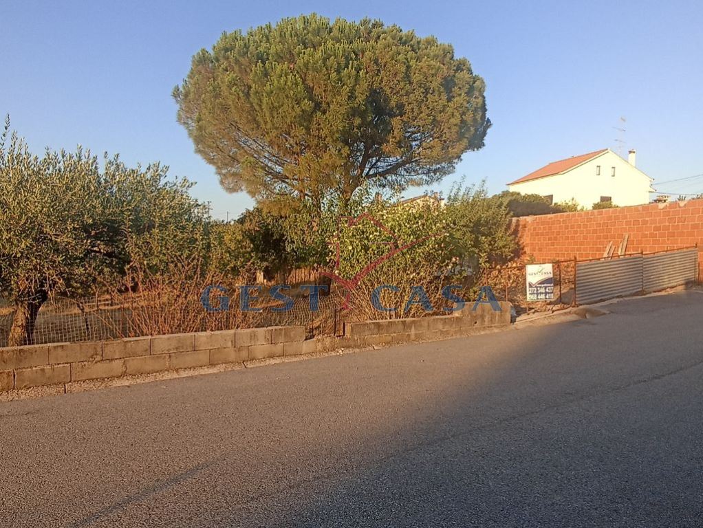 Terreno para Venda em Cebolais de Cima e Retaxo