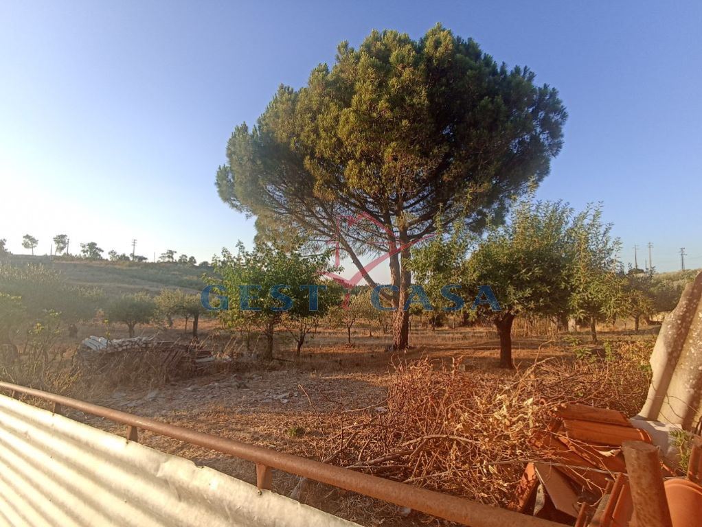 Terreno para Venda em Cebolais de Cima e Retaxo