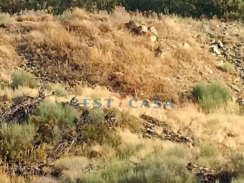 Terreno Agricola ou Rústico para Venda em Castelo Branco