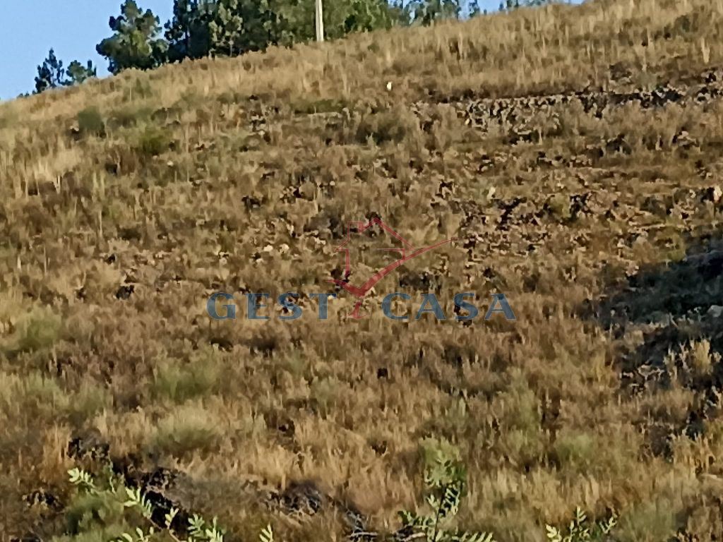 Terreno Agricola ou Rústico para Venda em Castelo Branco