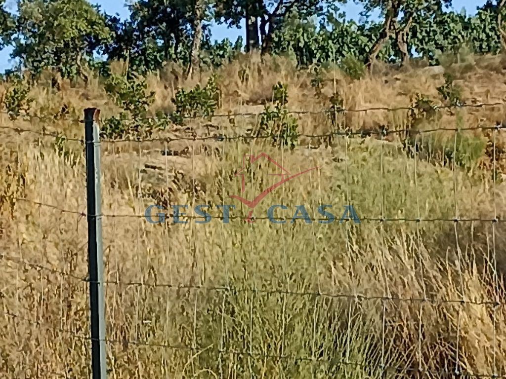 Terreno Agricola ou Rústico para Venda em Castelo Branco