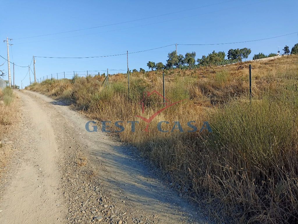 Terreno Agricola ou Rústico para Venda em Castelo Branco