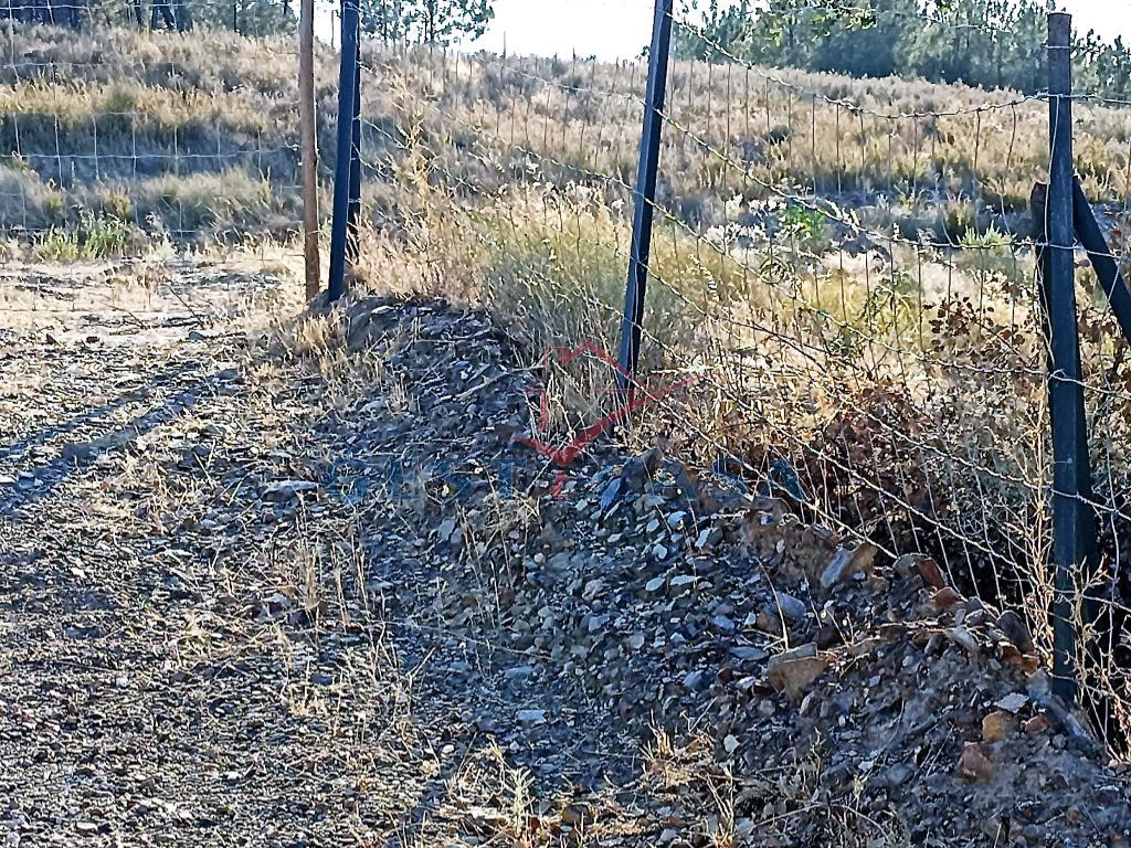 Terreno Agricola ou Rústico para Venda em Castelo Branco