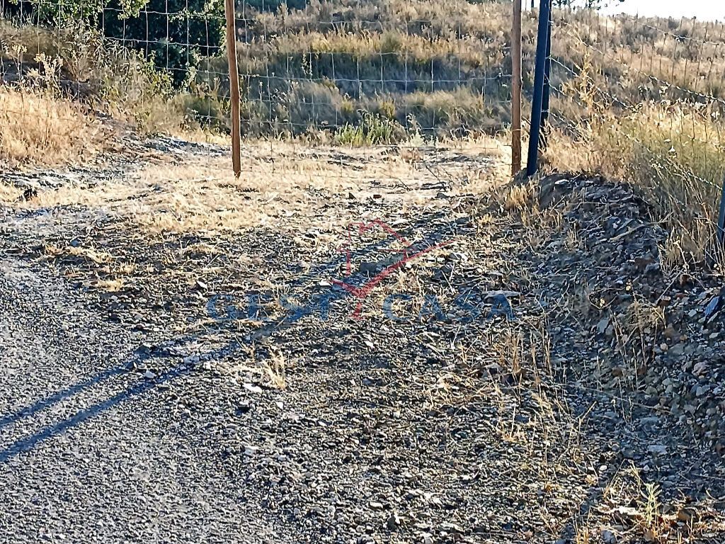 Terreno Agricola ou Rústico para Venda em Castelo Branco