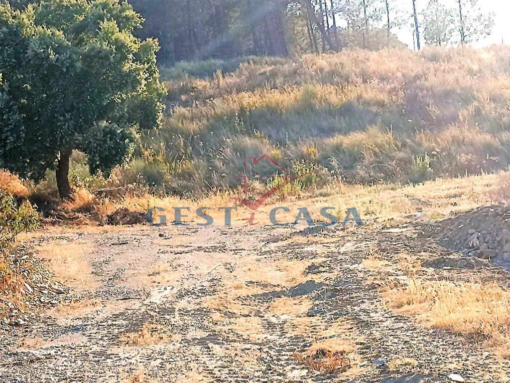 Terreno Agricola ou Rústico para Venda em Castelo Branco