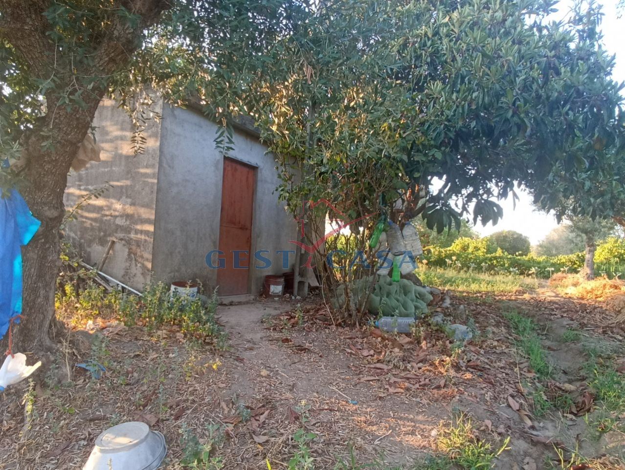 Terreno Agricola ou Rústico para Venda em Alcains