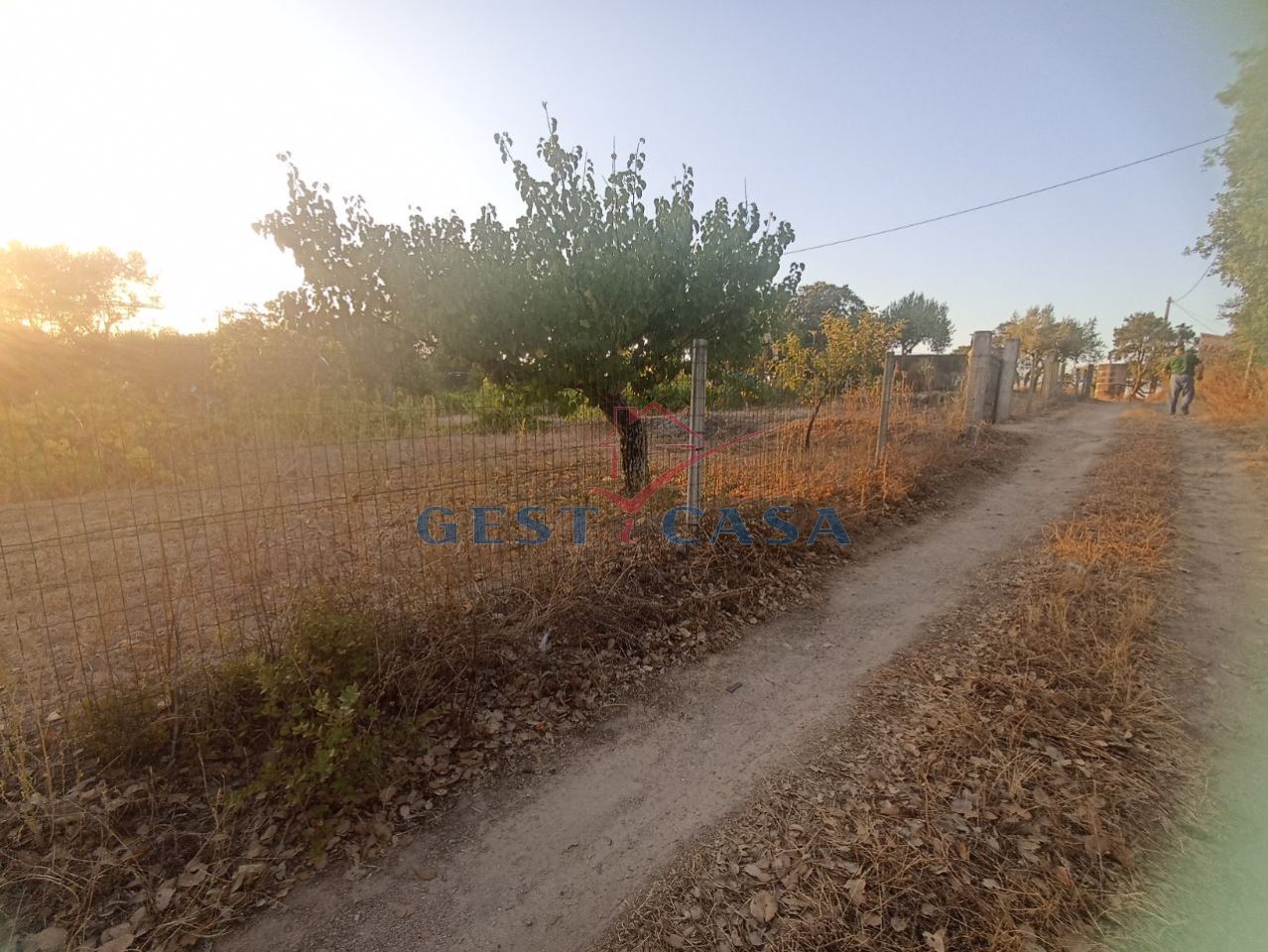 Terreno Agricola ou Rústico para Venda em Alcains