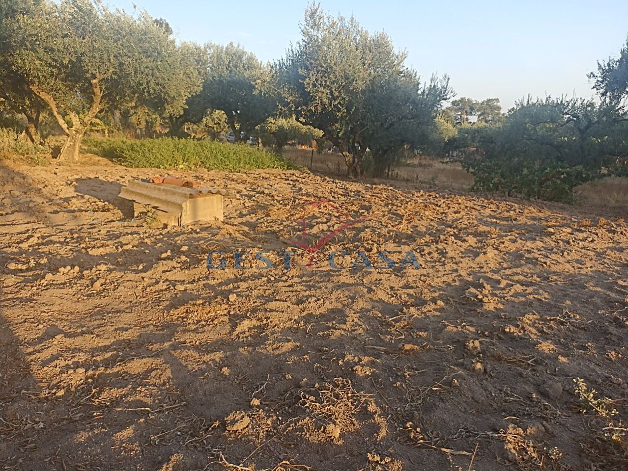 Terreno Agricola ou Rústico para Venda em Alcains