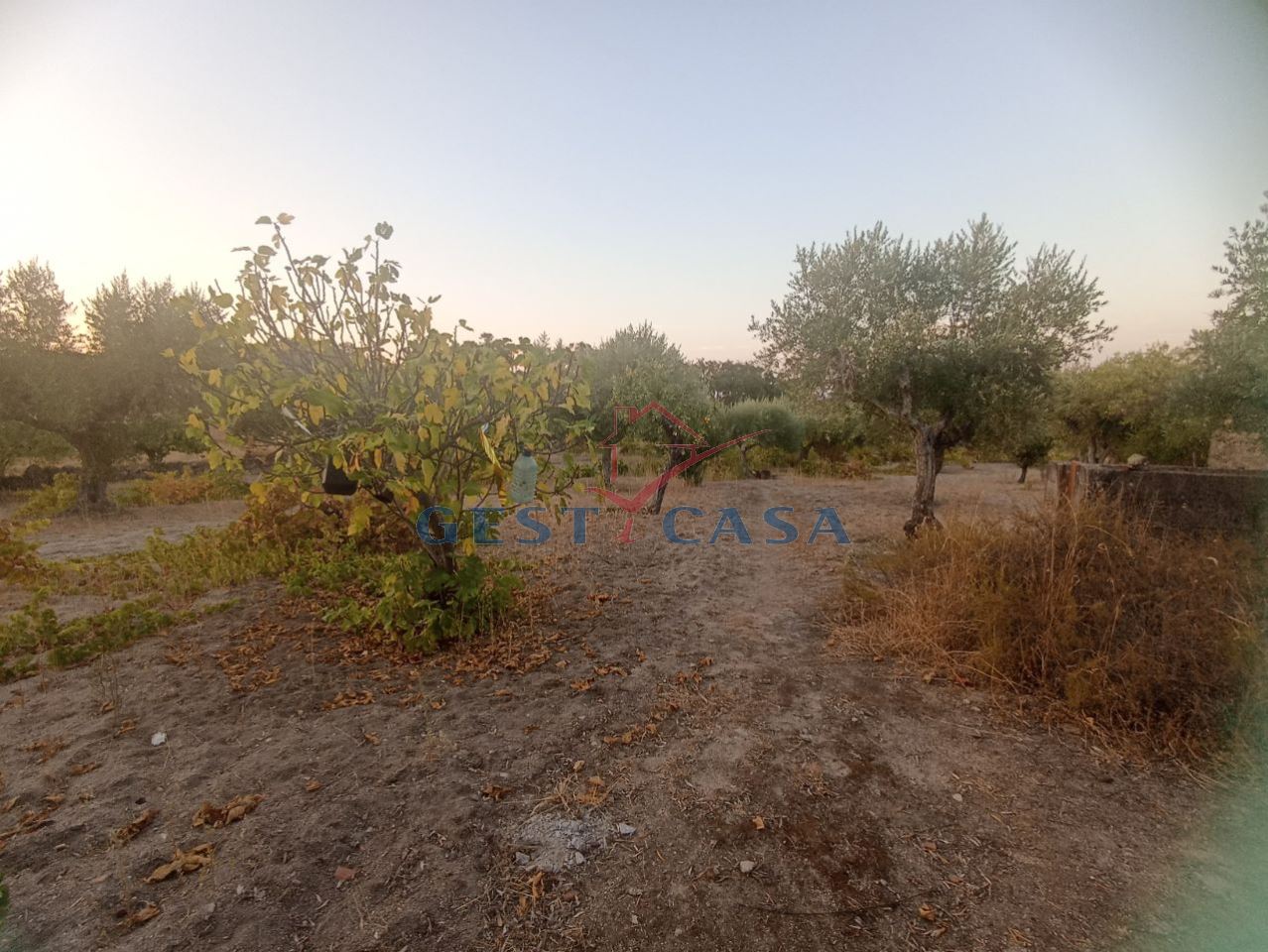 Terreno Agricola ou Rústico para Venda em Alcains