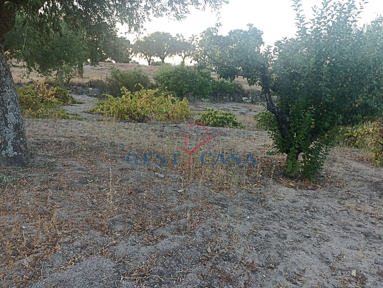 Terreno Agricola ou Rústico para Venda em Alcains