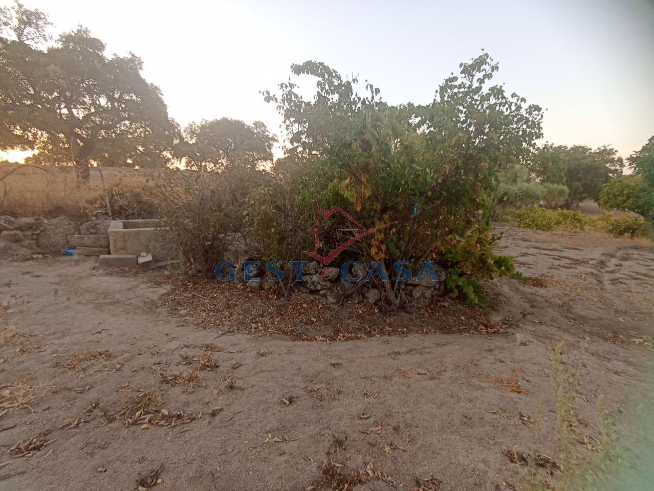 Terreno Agricola ou Rústico para Venda em Alcains