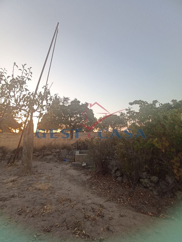 Terreno Agricola ou Rústico para Venda em Alcains