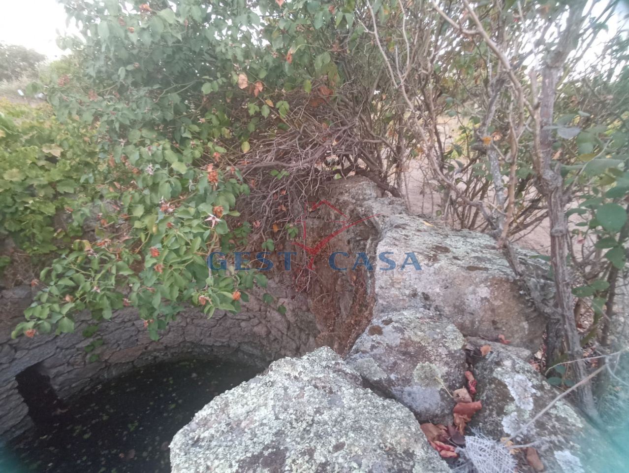 Terreno Agricola ou Rústico para Venda em Alcains