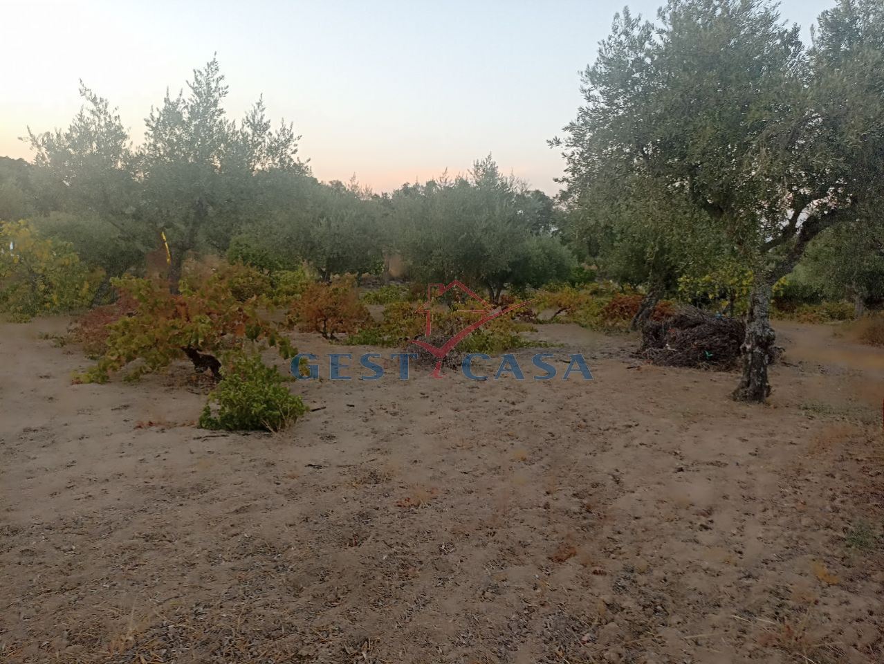 Terreno Agricola ou Rústico para Venda em Alcains