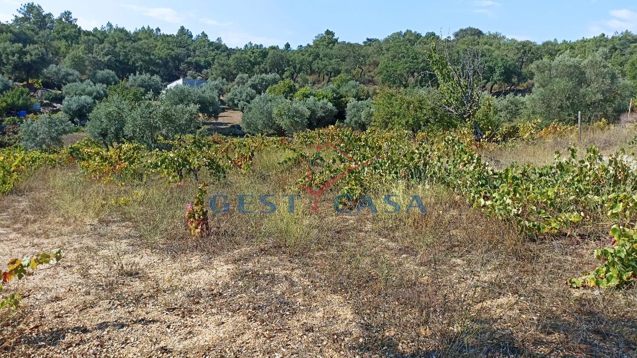 Terreno para Venda em Castelo Branco