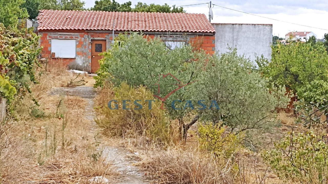 Terreno para Venda em Castelo Branco