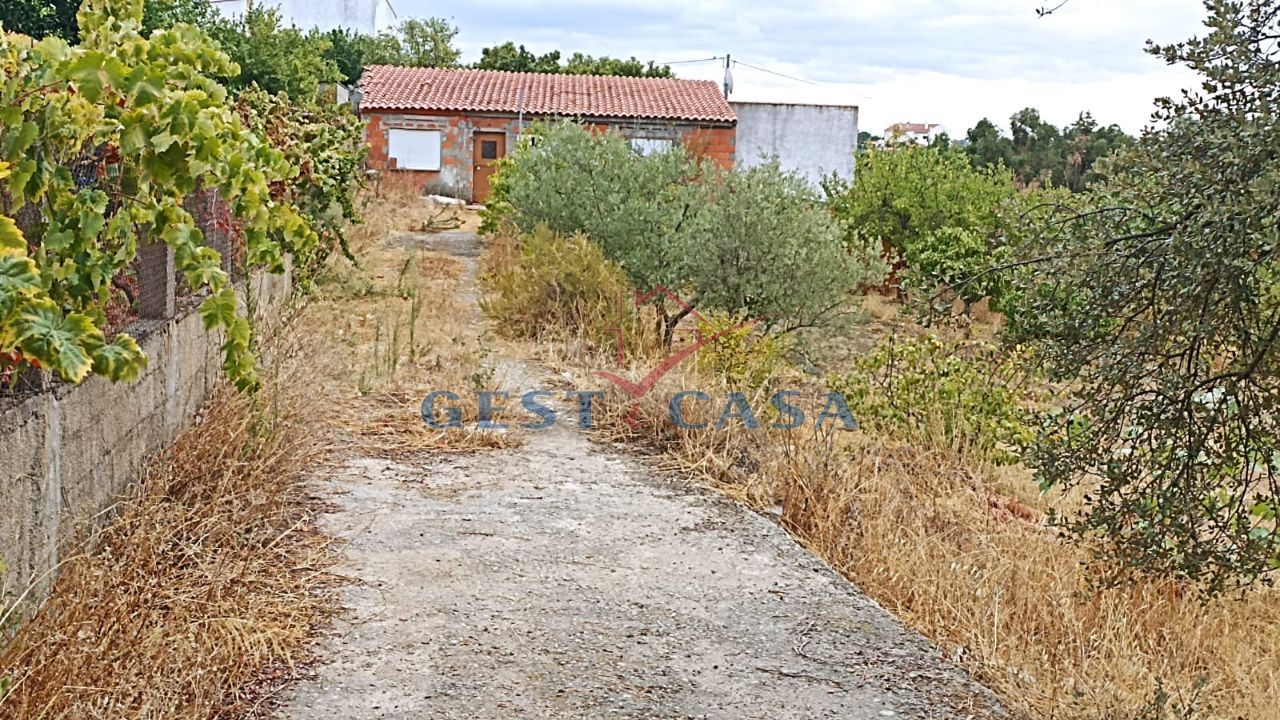 Terreno para Venda em Castelo Branco