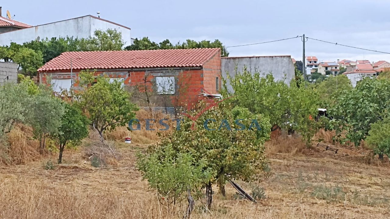 Terreno para Venda em Castelo Branco