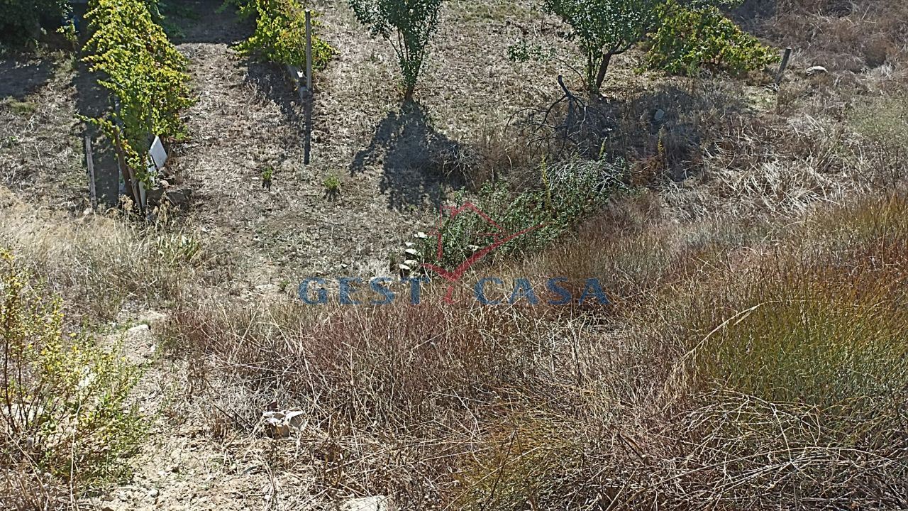 Terreno para Venda em Castelo Branco