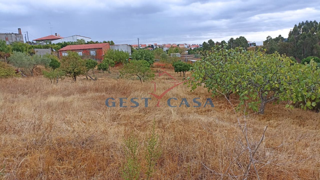 Terreno para Venda em Castelo Branco