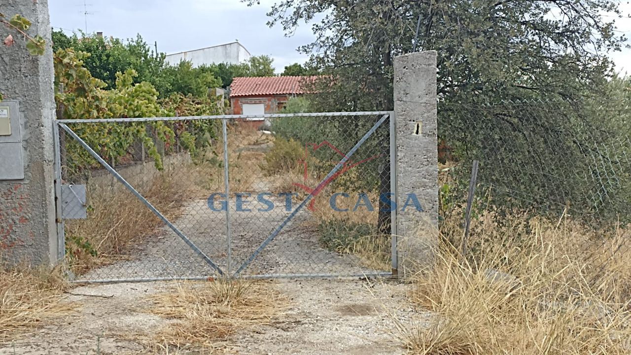 Terreno para Venda em Castelo Branco