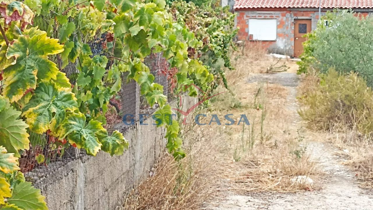 Terreno para Venda em Castelo Branco