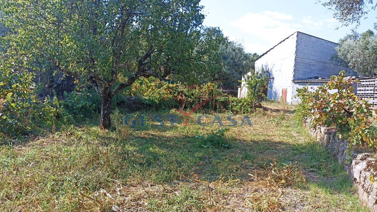 Terreno Agricola ou Rústico para Venda em Salgueiro do Campo