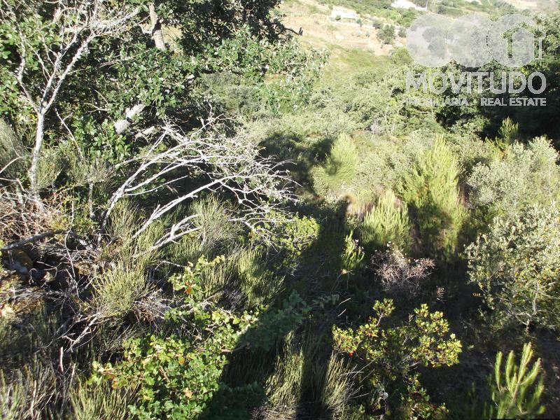 Terreno Agricola ou Rústico para Venda em Carnota